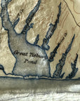 Vintage map detail showing 'Great Tisbur Pond' and surrounding areas.