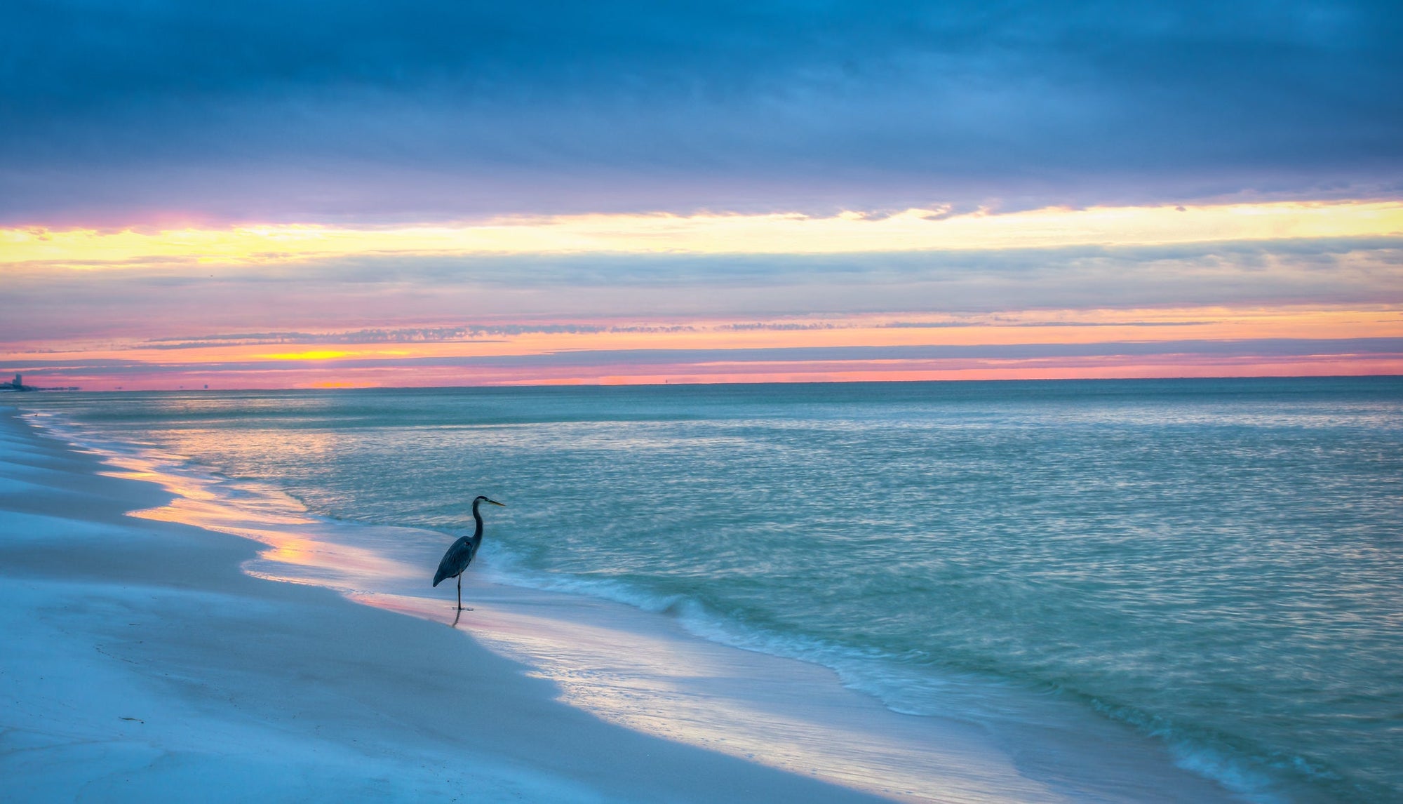 Florida's Gulf Coast