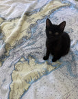 Cape Cod & The Islands Traditional Nautical Chart Blanket