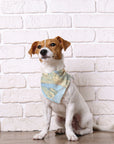 Bandana (a.k.a. Dogdana) - Wholesale Doggie Bandana
