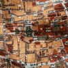 Rome, Italy Vintage Map Scarf (Pianta Roma)