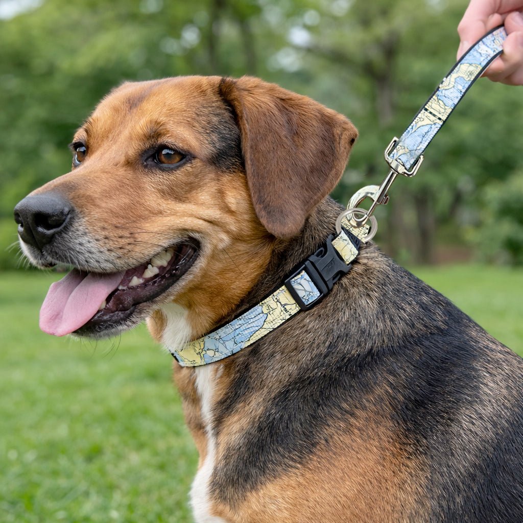 Dog Collar Wholesale - Maritime Tribes USA