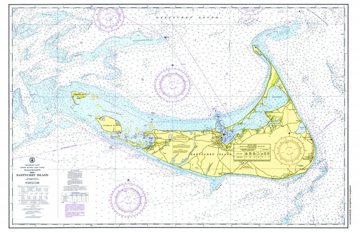 Nantucket Nautical Chart Placemat - Maritime Tribes USALaminated Placemat