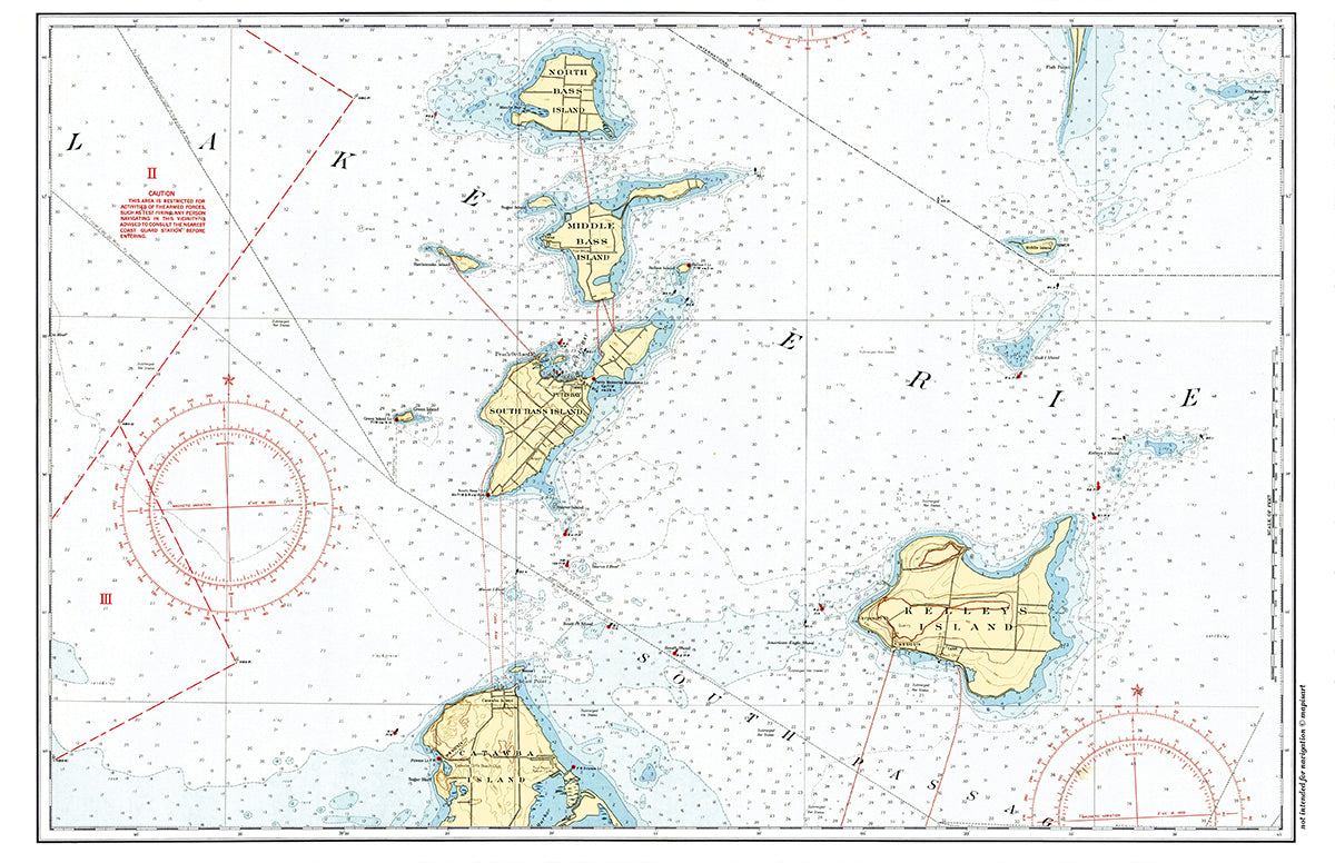Islands of Lake Erie Single Placemat